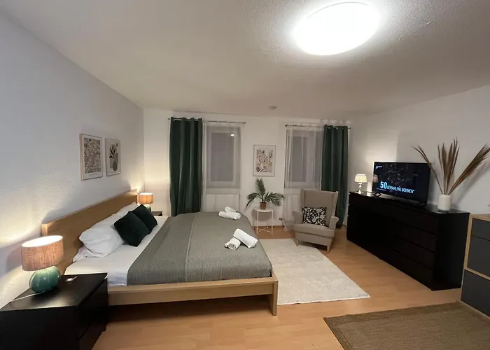 Koblenz Studio City Apartment